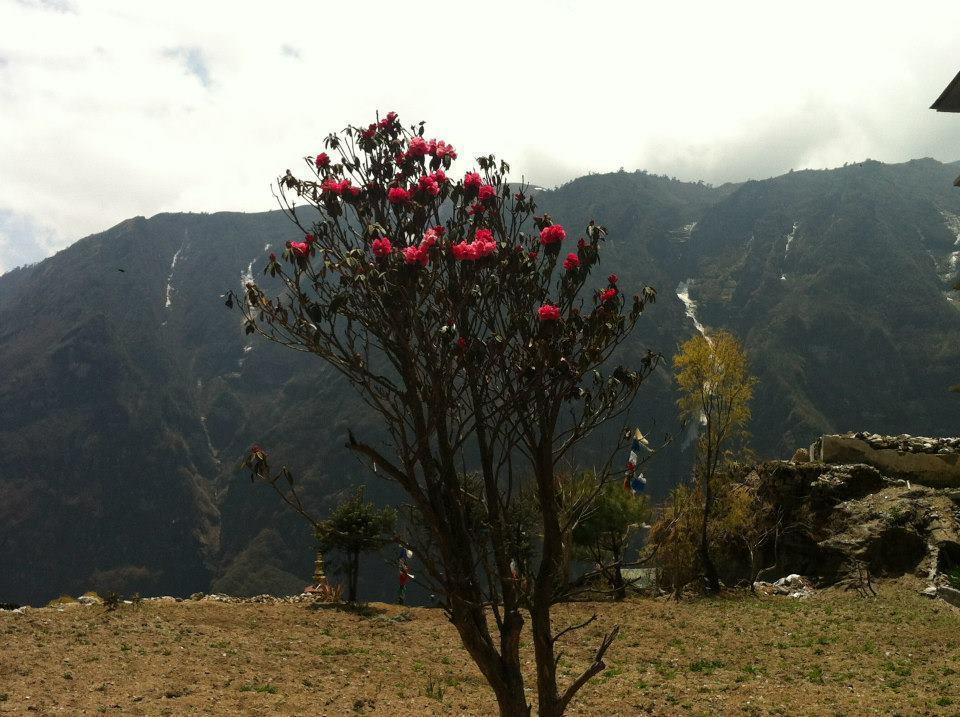 Hotel Namche Namche Bazar Luaran gambar